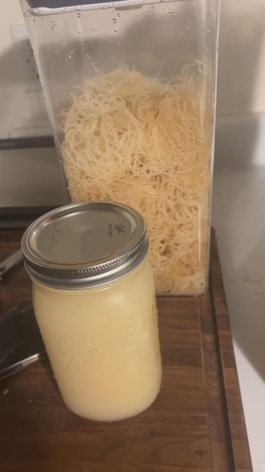Wildcrafted Sea Moss